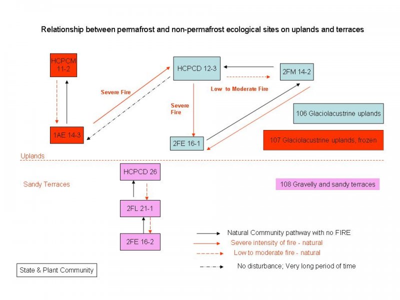 Model diagram