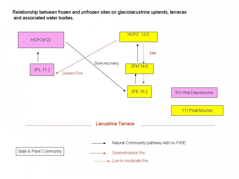 Model diagram