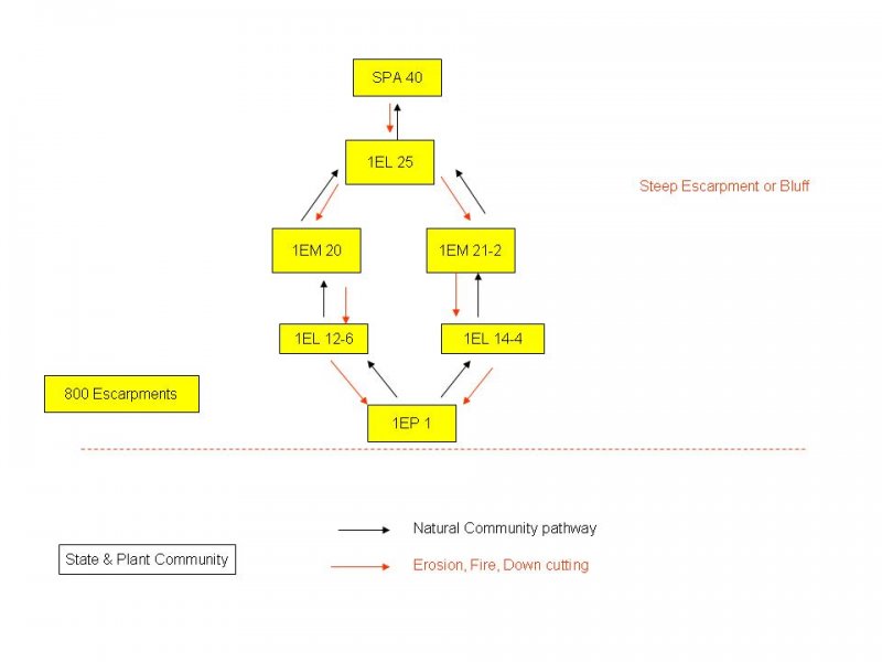 Model diagram