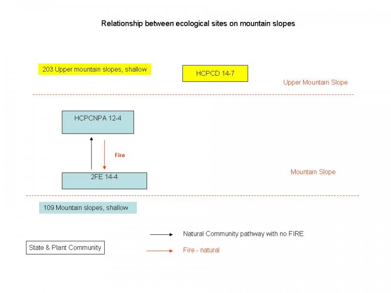 Model diagram
