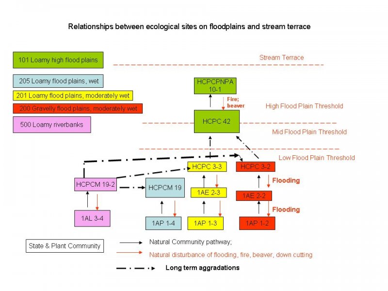Model diagram