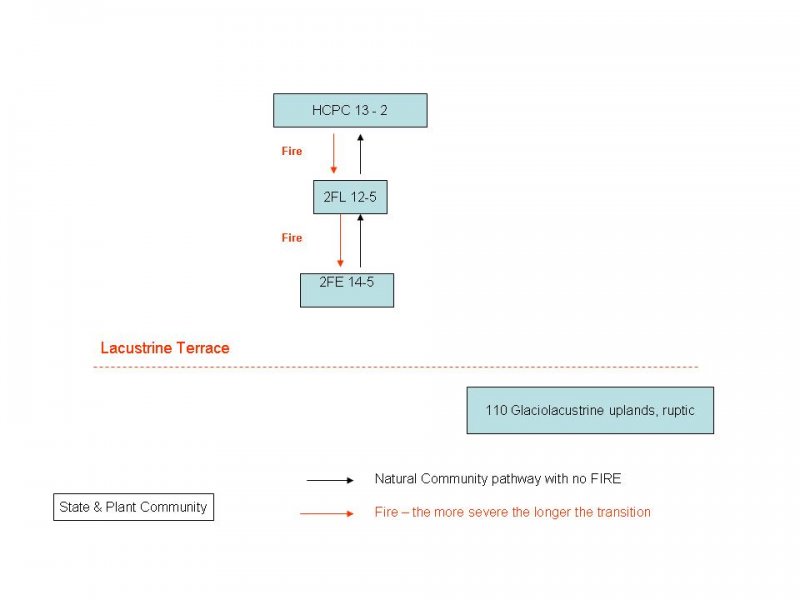 Model diagram