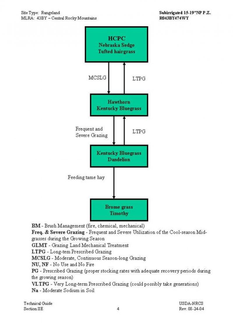 Model diagram