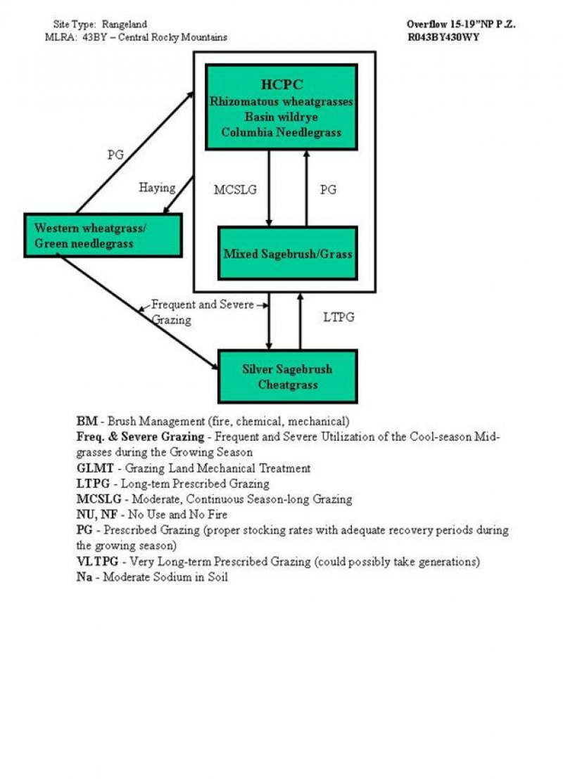 Model diagram