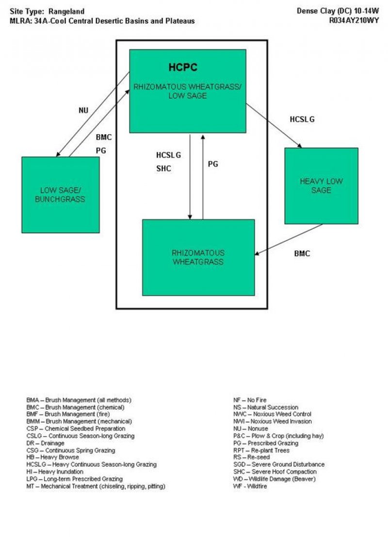 Model diagram