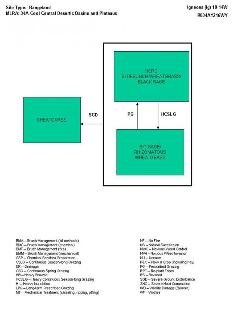 Model diagram
