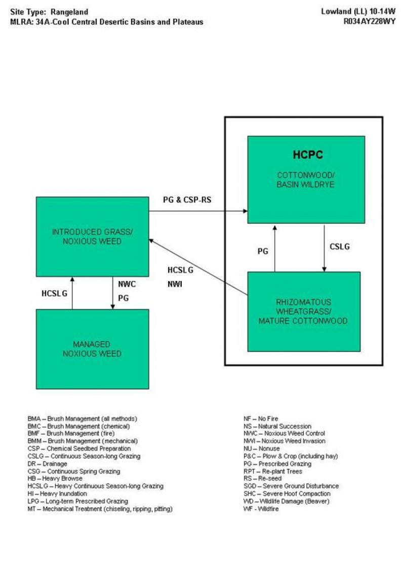 Model diagram