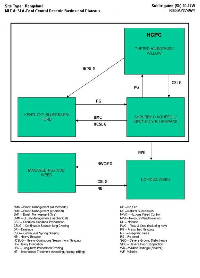 Model diagram