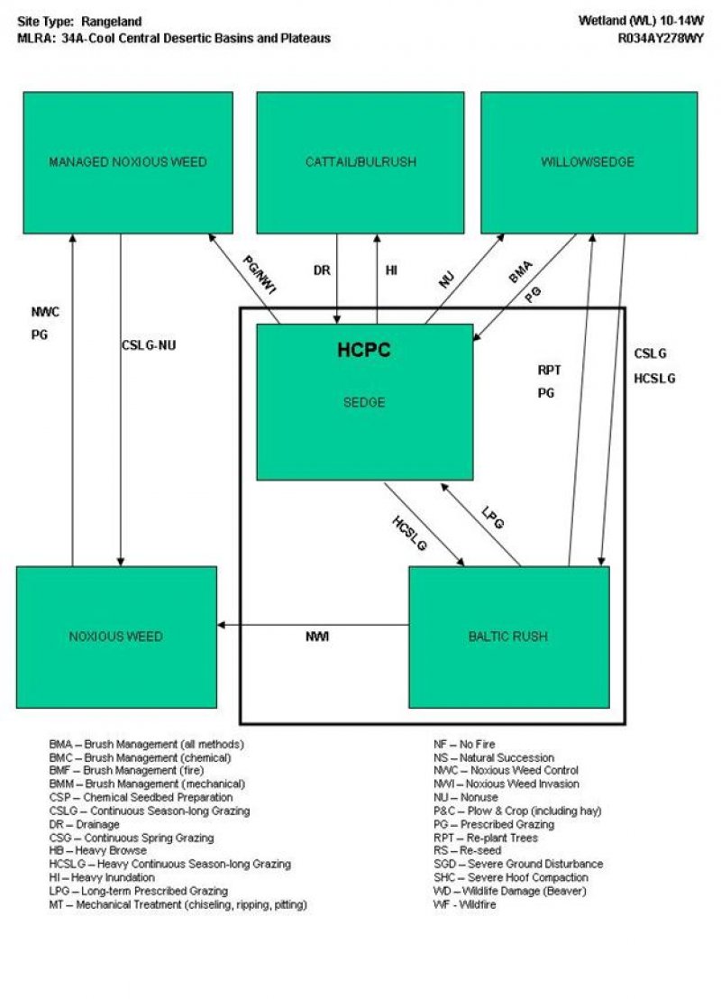 Model diagram