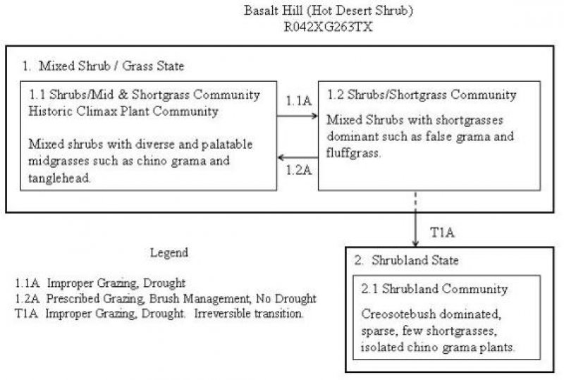 Model diagram