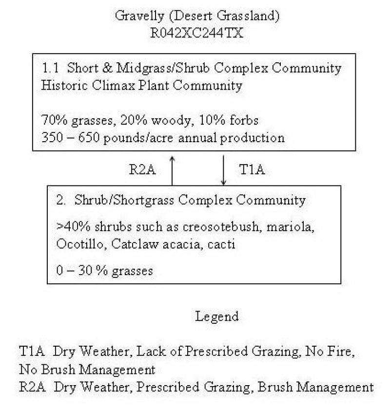 Model diagram