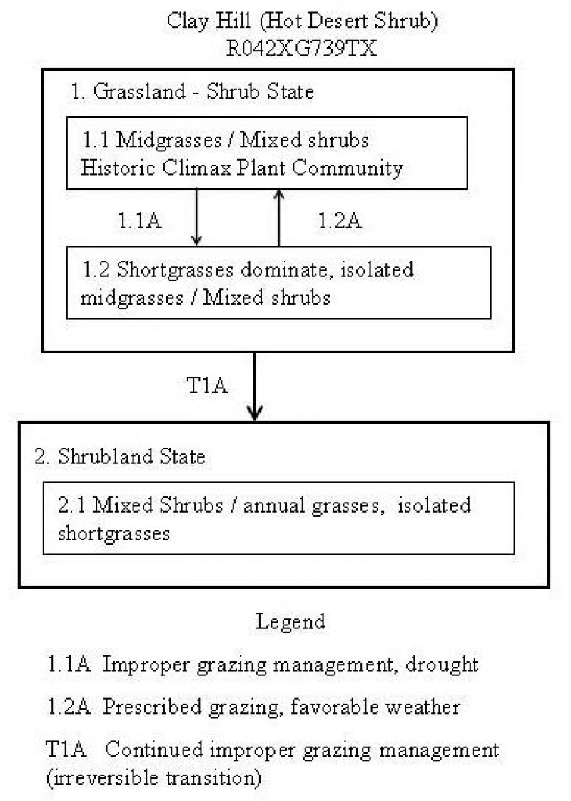Model diagram