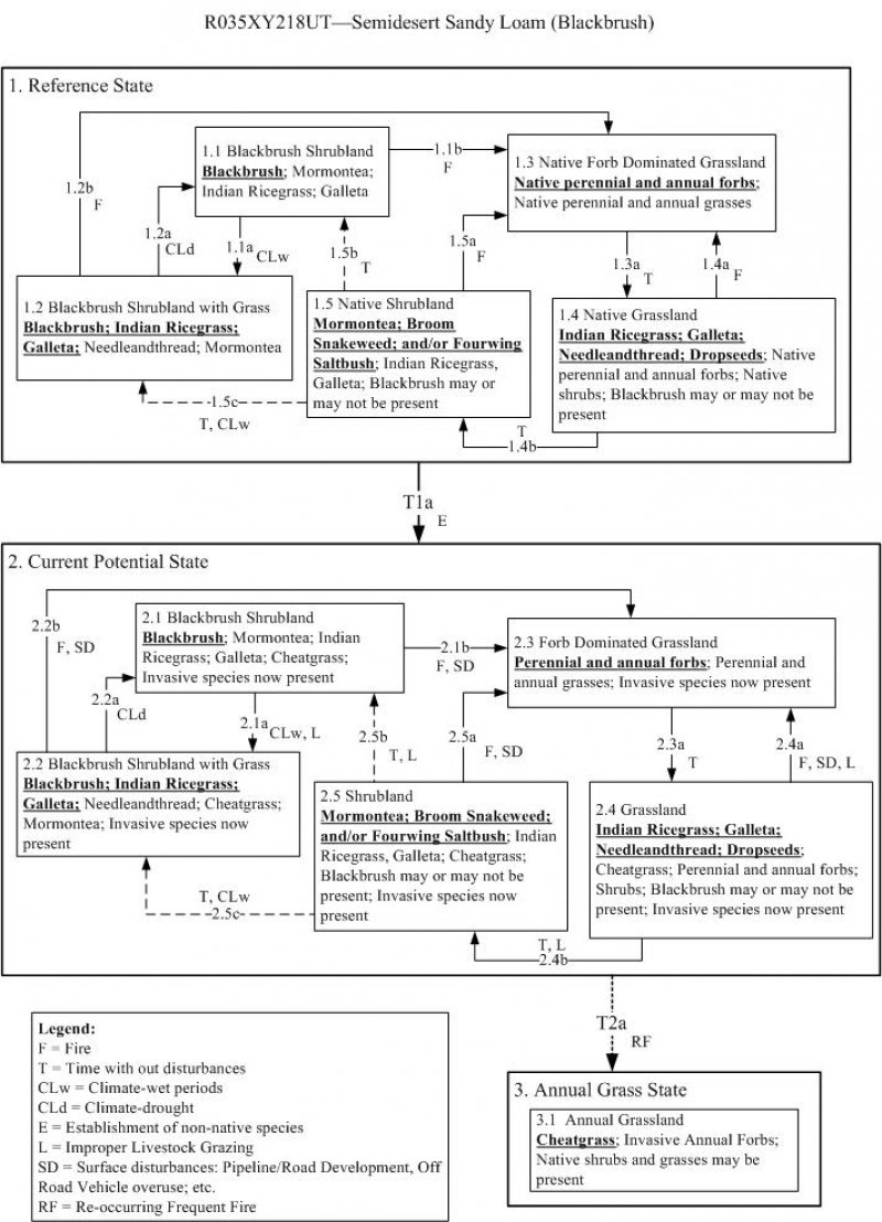 Model diagram
