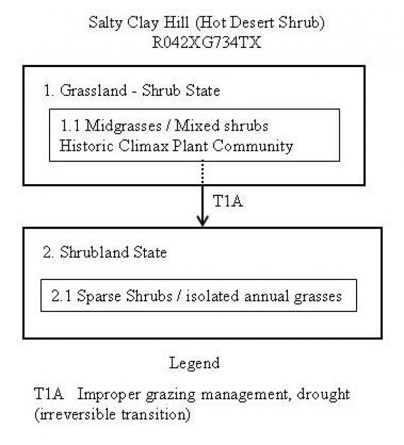 Model diagram