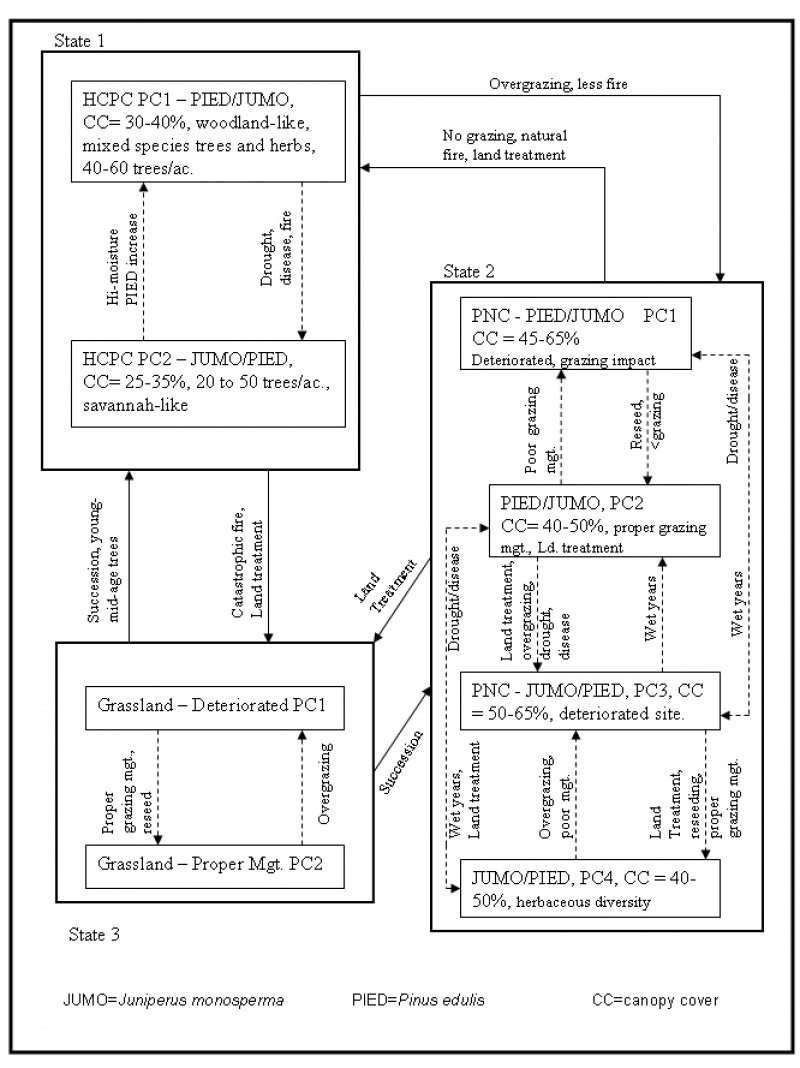 Model diagram