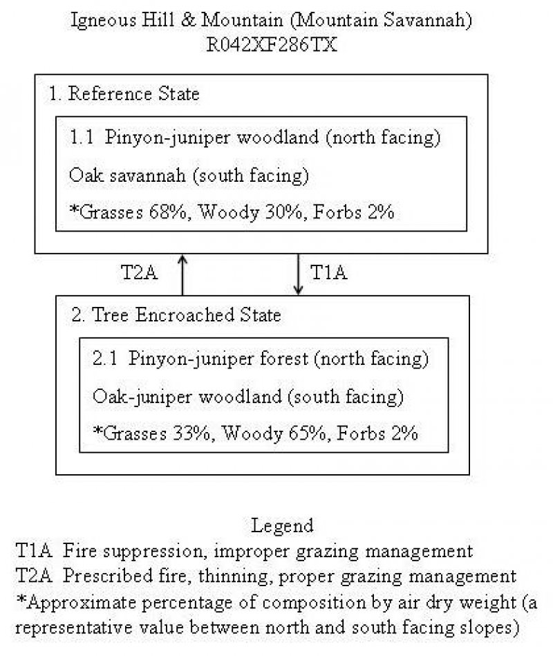 Model diagram