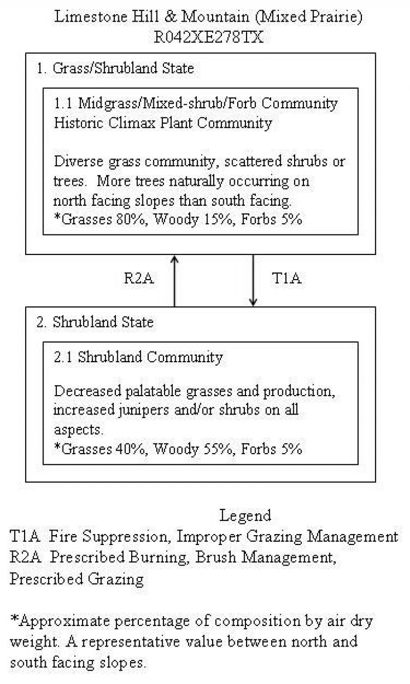 Model diagram