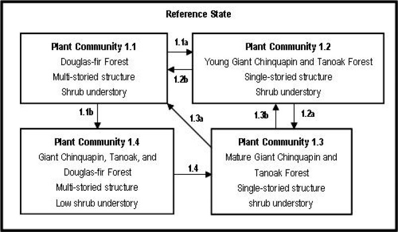 Model diagram