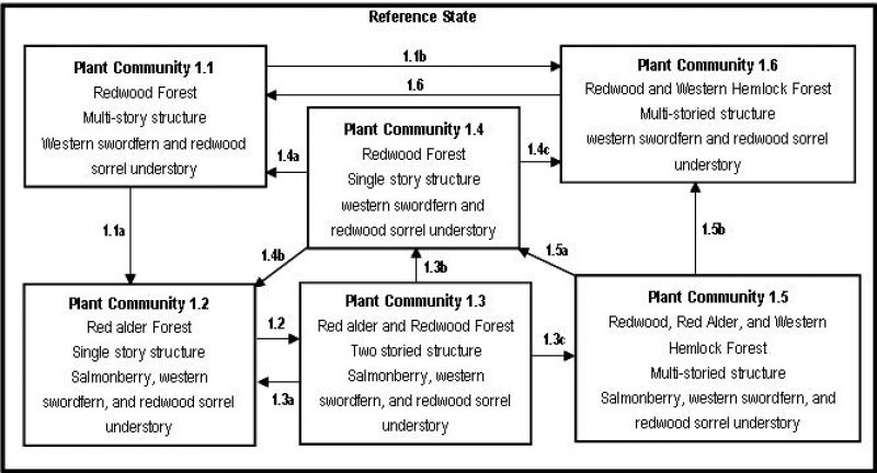Model diagram