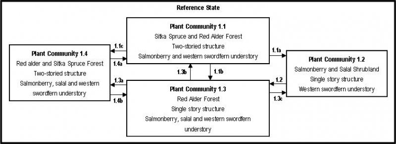 Model diagram