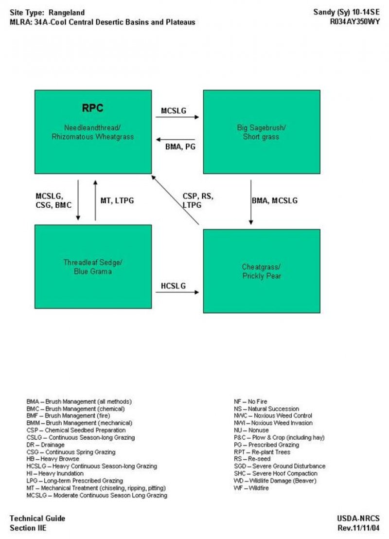 Model diagram