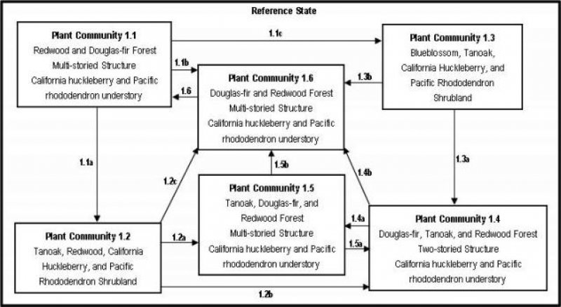 Model diagram