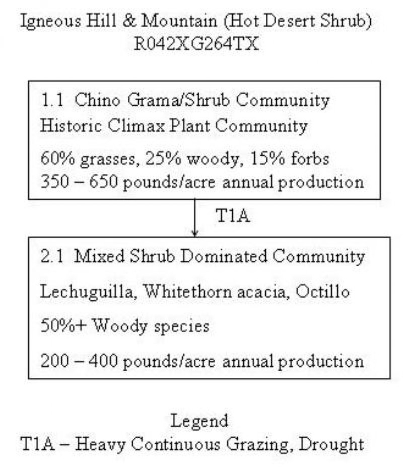 Model diagram