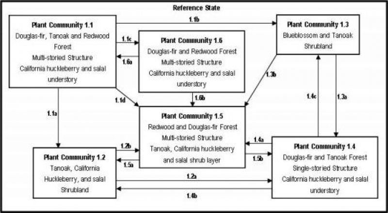 Model diagram