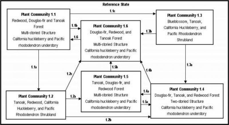 Model diagram