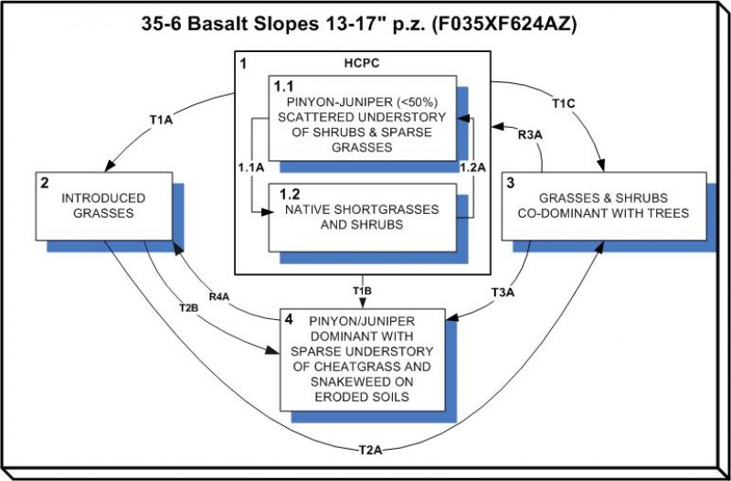 Model diagram