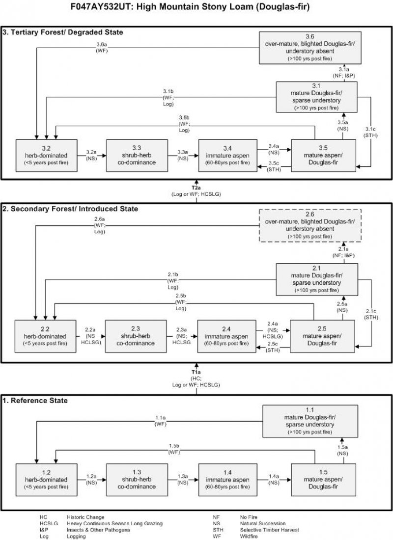 Model diagram
