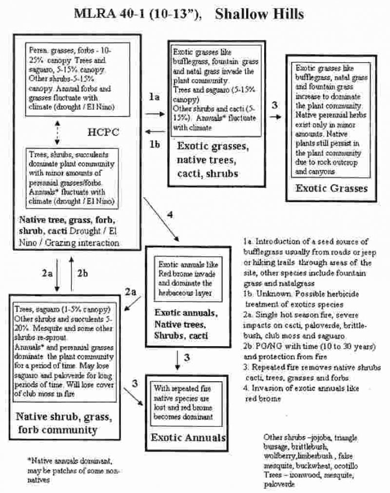 Model diagram