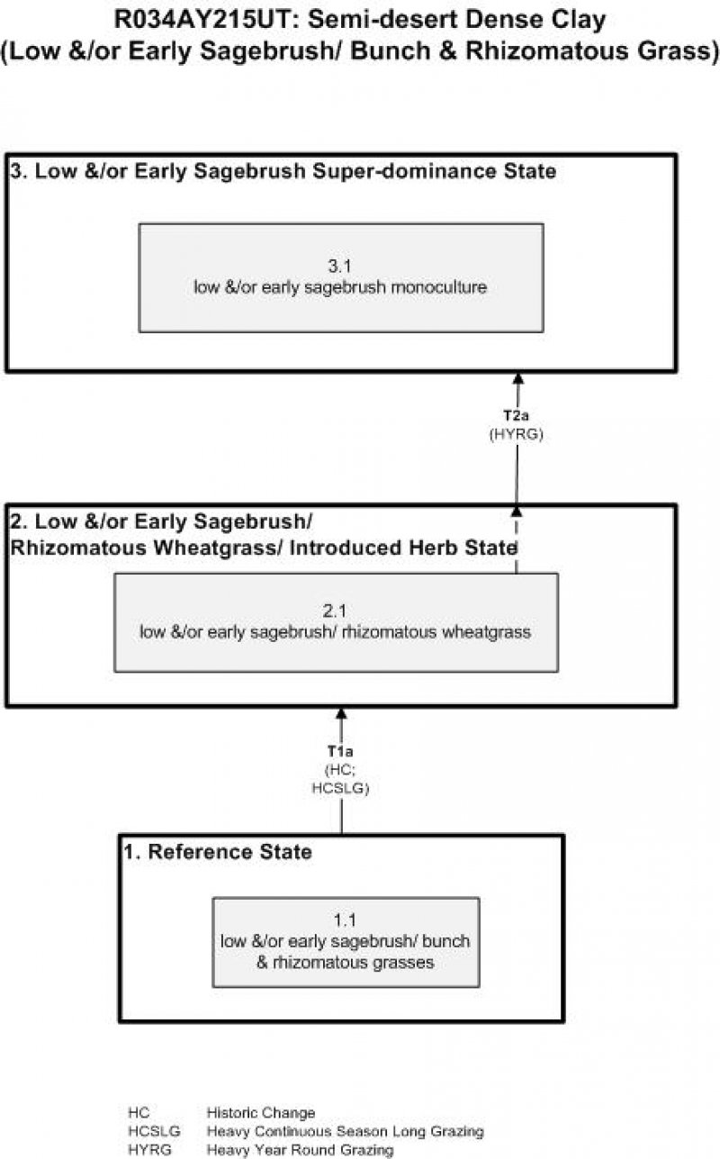 Model diagram