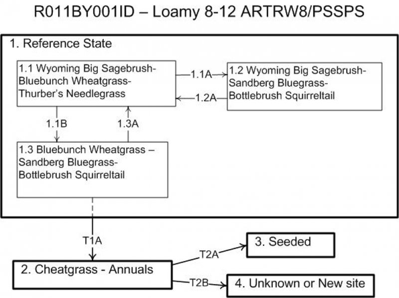 Model diagram