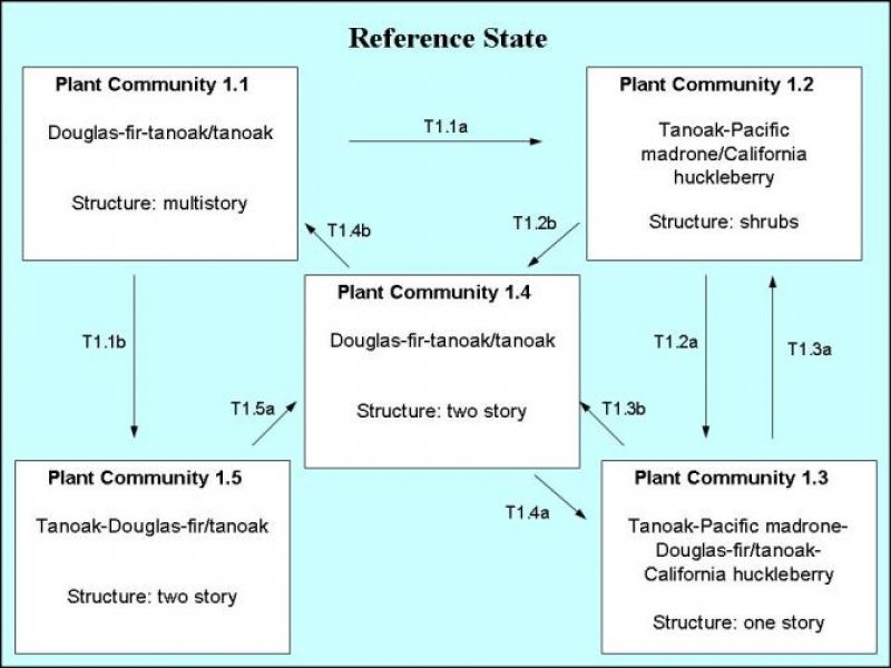 Model diagram