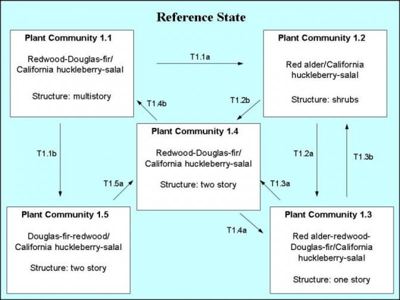 Model diagram