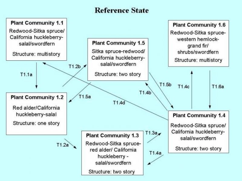 Model diagram