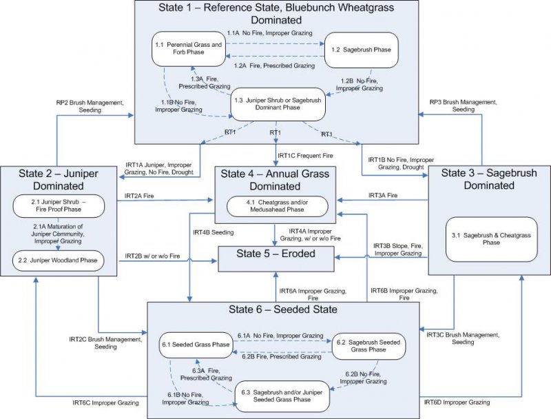 Model diagram