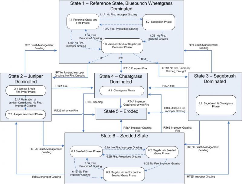 Model diagram