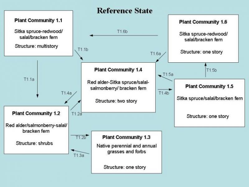 Model diagram