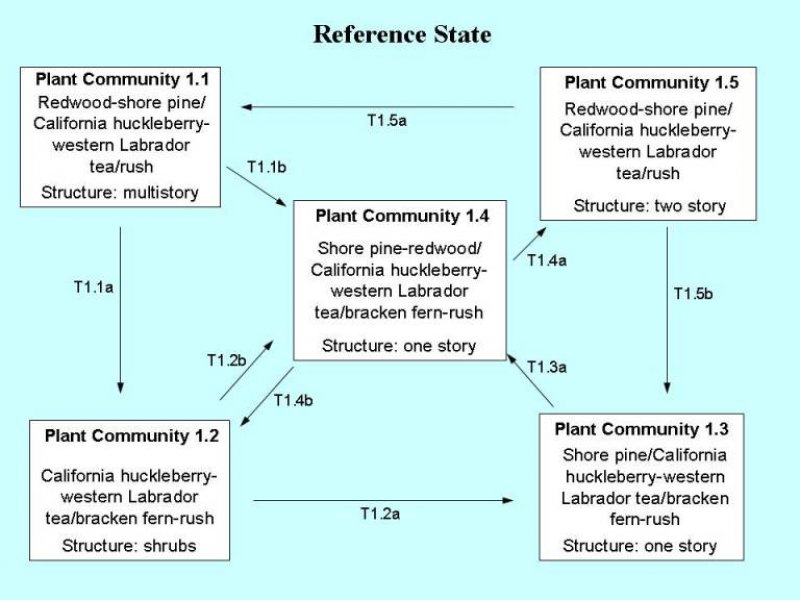 Model diagram