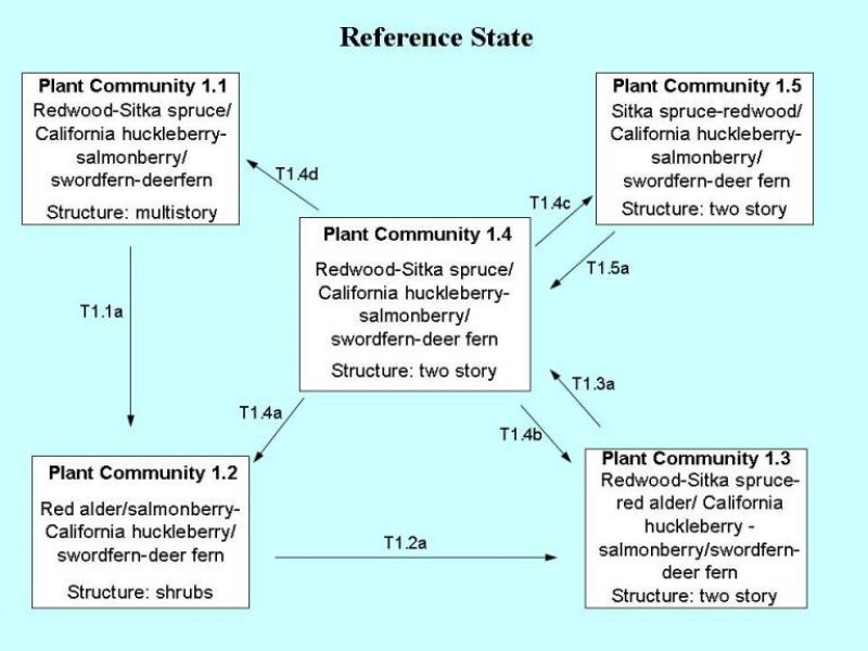 Model diagram