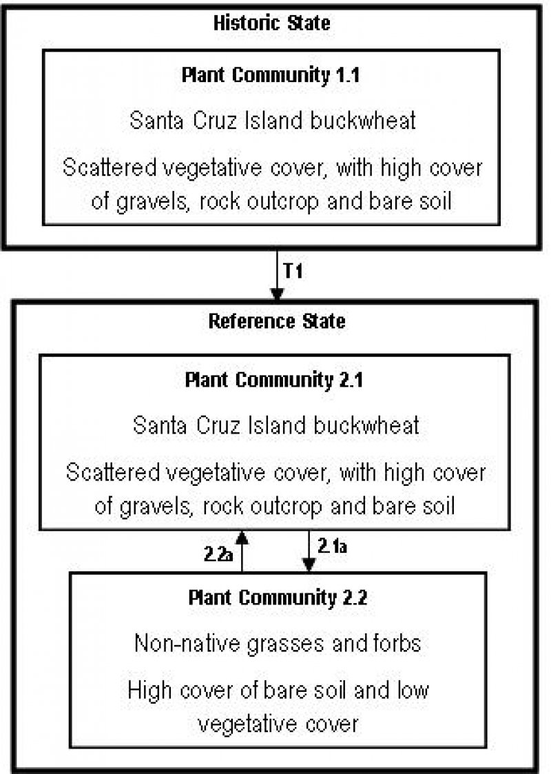 Model diagram