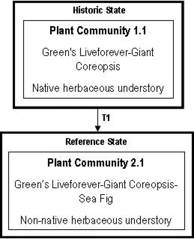 Model diagram