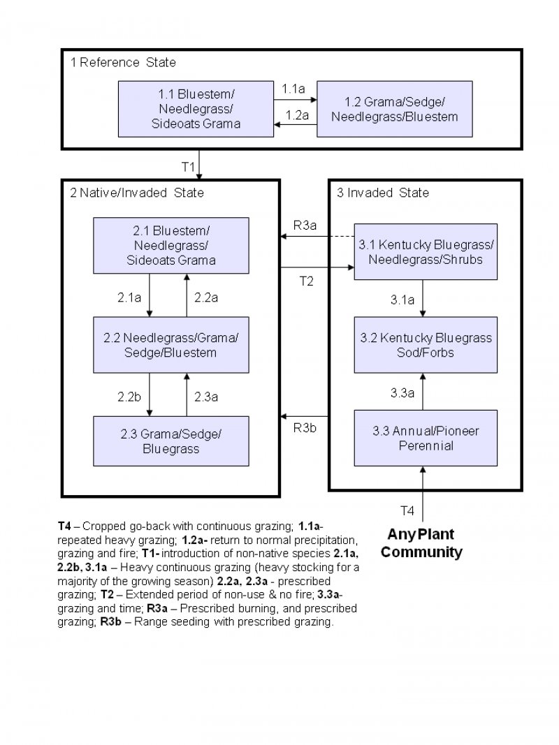 Model diagram