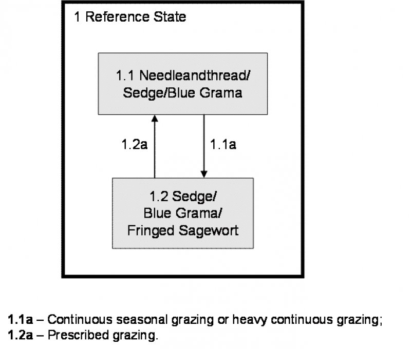 Model diagram