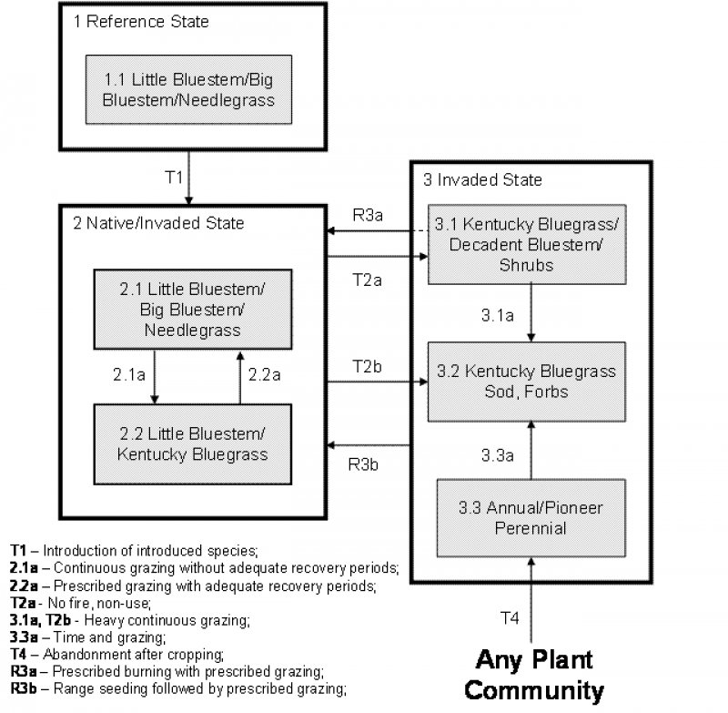 Model diagram