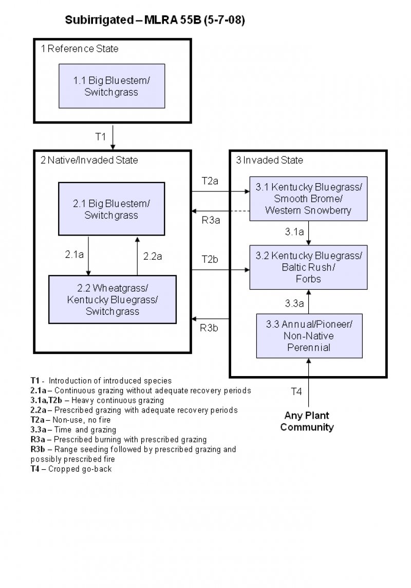 Model diagram