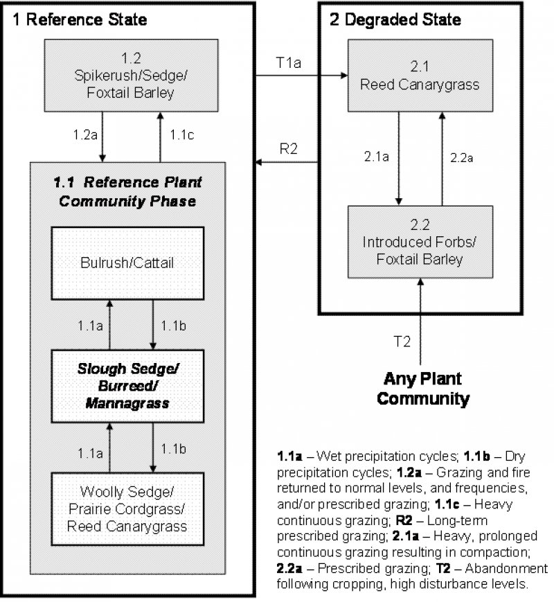 Model diagram