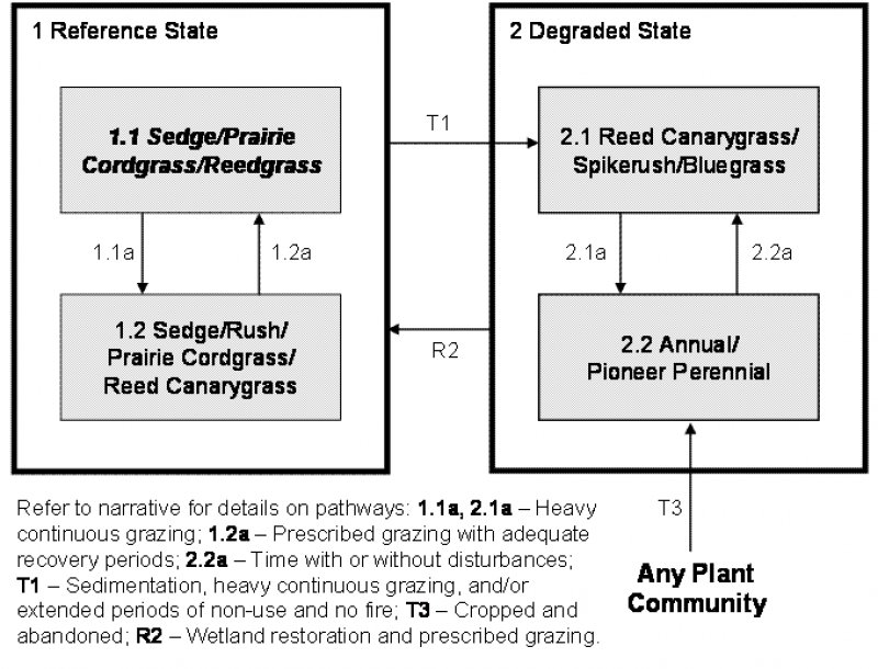 Model diagram
